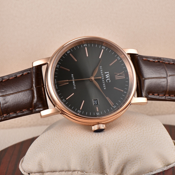 アイ・ダブリュー・シー側面デザイン